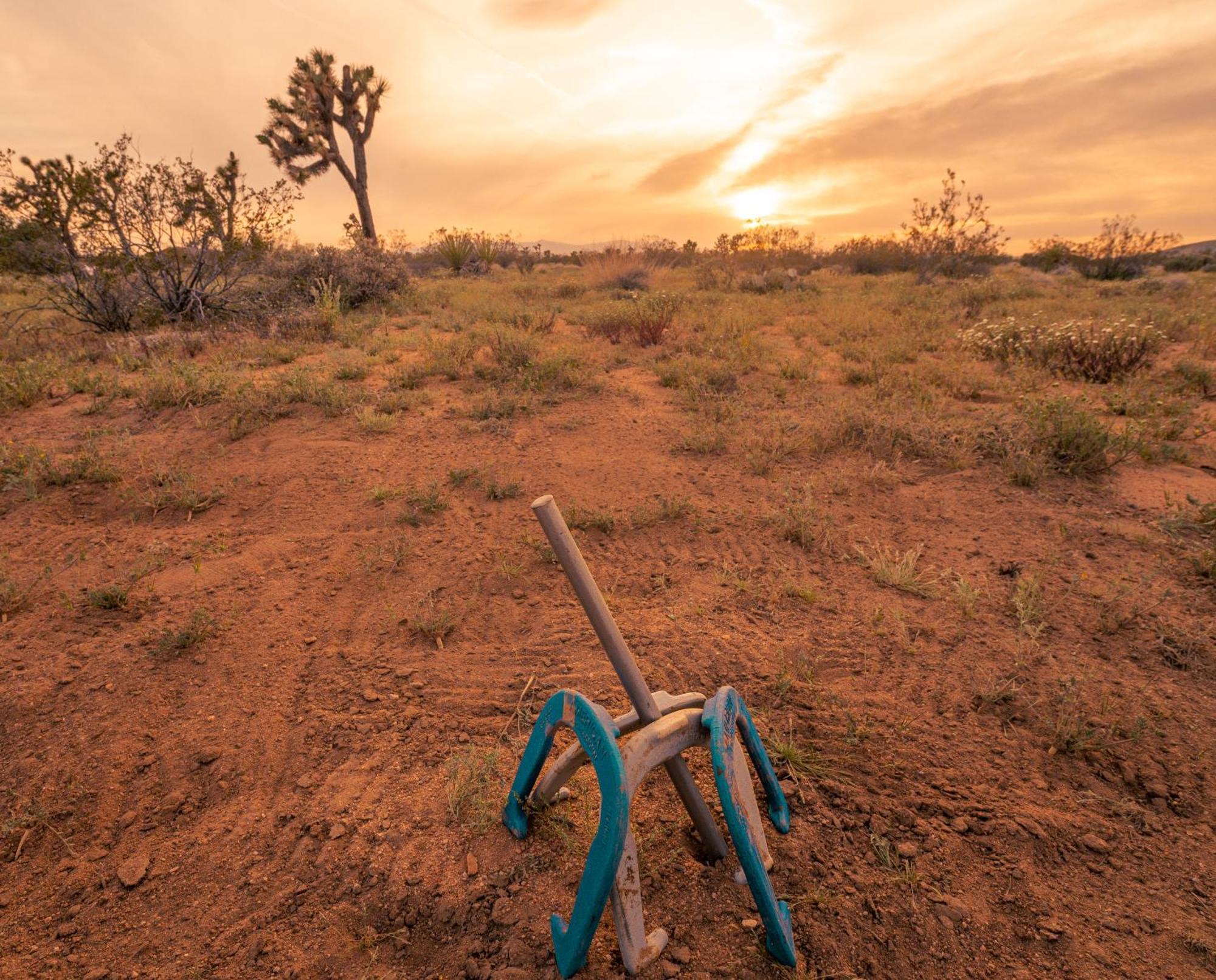 Вилла Coyote Tracks - A Modern Desert Experience Джошуа-Три Экстерьер фото